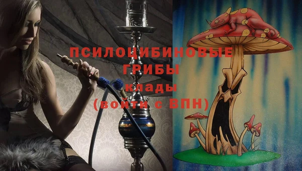амф Бронницы