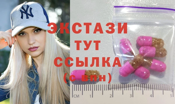гидра Бородино