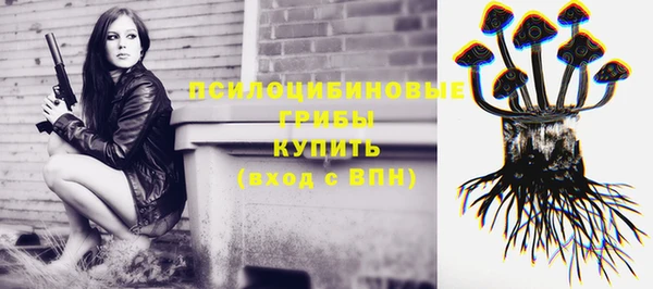 амф Бронницы