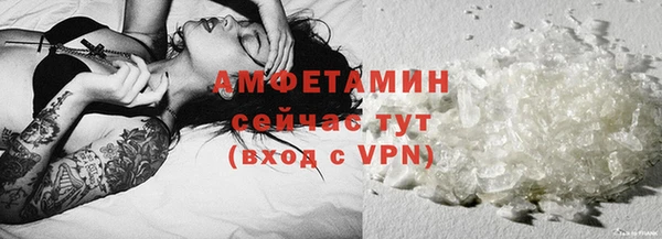гидра Бородино