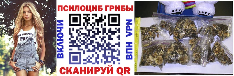 Галлюциногенные грибы GOLDEN TEACHER  сколько стоит  Чудово 